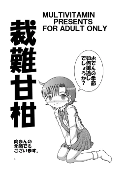 Page 3 of Sainan Kankan