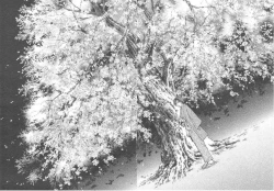 Page 195 of Sakura Gari Vol. 3