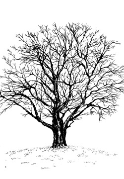 Page 5 of Sakura Gari Vol. 3