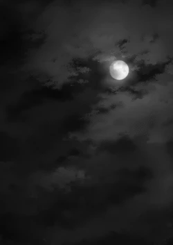 Page 126 of Hikari no Kimi no Saganaki Keikaku <Soushuuhen>