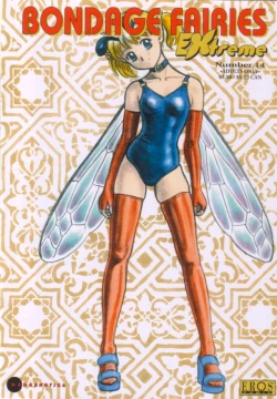 Page 1 of Bondage Fairies Extreme Issue 14