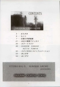 Page 5 of Shadow Canvas 13