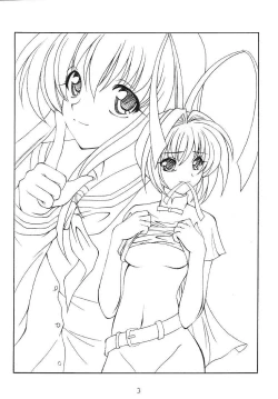 Page 2 of Sorette Fushigi Mystery?