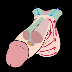 Page 151 of Futanari? What's that?