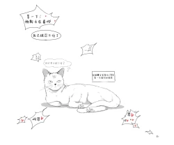 Page 10 of EVP Helianthus