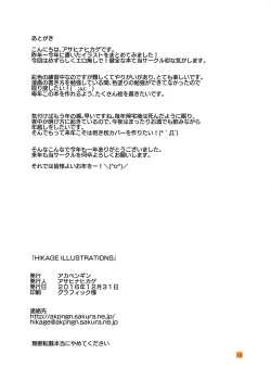 Page 17 of HIKAGE ILLUSTRATIONS