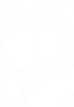 Page 2 of Shiranui-ryuu Kunoichi Saiin Oil Massage