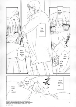 Page 15 of From Shinyokohama To Akihabara