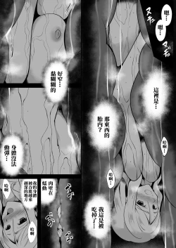 Page 24 of Shuudou Kishi Cecilia