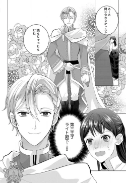 Page 13 of Isekai de Dai San Ouji ni Keikakuteki ni Metoraremashita 1-3