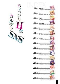 Page 3 of Choppiri H na Chaldea SNS