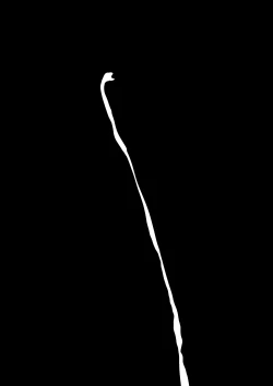 Page 29 of Yuuichi Yume 'Muji'