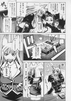 Page 19 of Megitsune