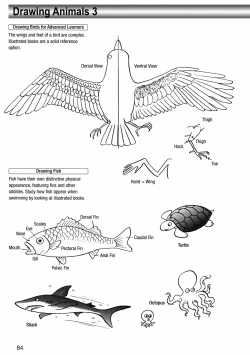 Page 88 of How to Draw Manga Vol. 8 - Super Basics by Angel Matsumoto