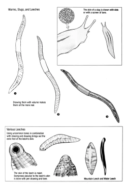 Page 38 of How to Draw Manga Vol. 24, Occult & Horror by Hikaru Hayashi