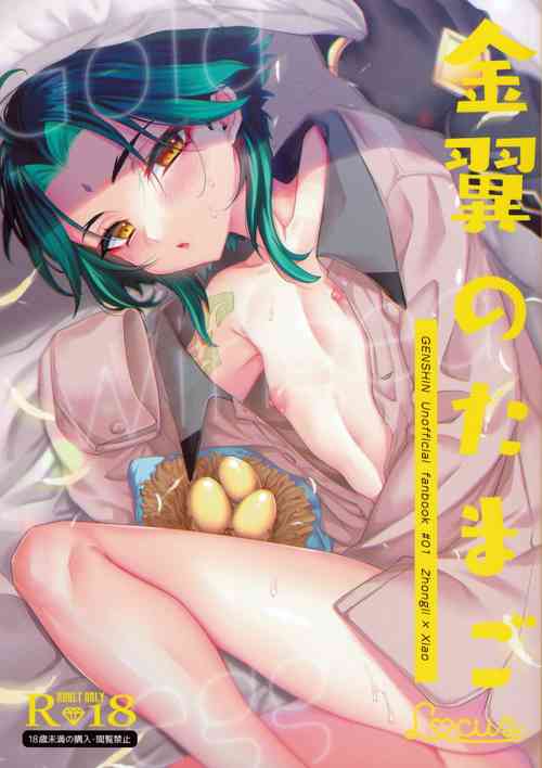 Download Kimu Tsubasa no Tamago