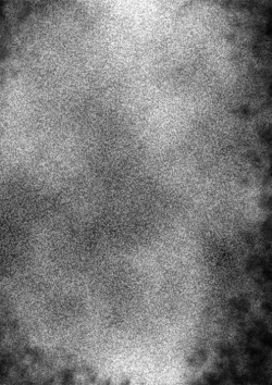 Page 27 of Futanari Kyoudan | The Cult of The Futanari