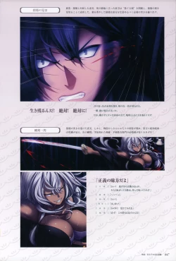 Page 49 of ChuSinGura 46+1 Official Visual Fan Book