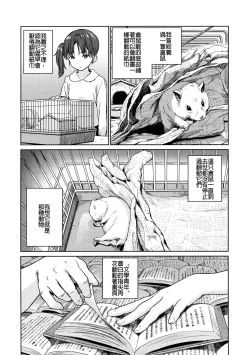 Page 13 of Bungaku Seinen | 文学青年
