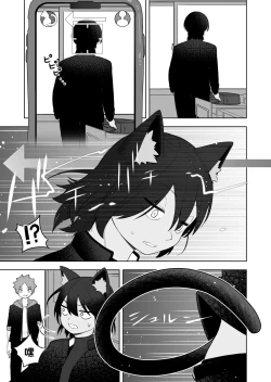 Page 14 of Kemokko-ka Appli | 兽娘化APP