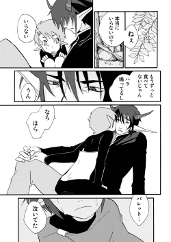 Page 27 of E no Naka no Kimi