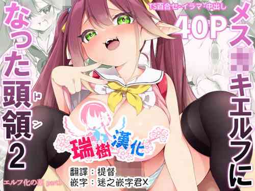 Download Mesugaki Elf ni Natta Don 2 Elf-ka no Kusuri part 3 | 變成雌小鬼妖精的頭領2 妖精化之藥 part3