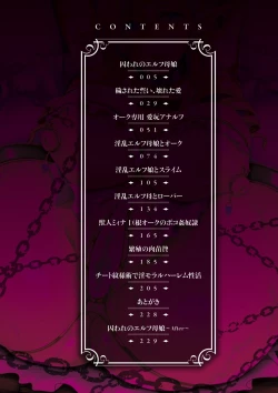 Page 4 of Aijou no Injoku Elf