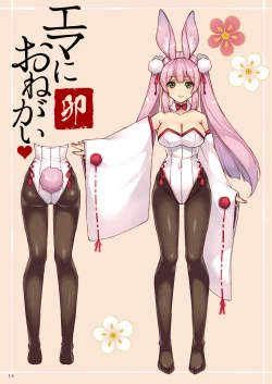 Page 14 of Ema ni Onegai Usagi