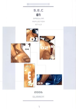 Page 3 of S.E.C 01 SPECULAR REFLECTION