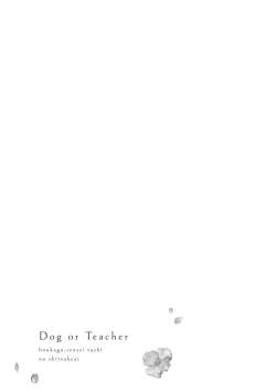 Page 37 of Dog or tīchātachi no shitsuke ke ai放学后，老师们的调教恋爱2