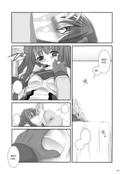 Page 101 of DLDL-RO Perfect Collection No. 01