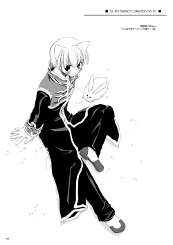 Page 171 of DLDL-RO Perfect Collection No. 01