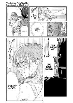 Page 17 of The Guinea Pig's Weekly Experiment at 8 P.M.