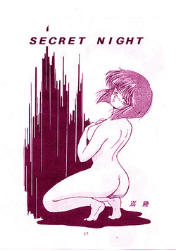 Download Secret Night