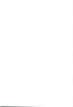 Page 31 of "NO GAME NO LIFE" NO LIFE