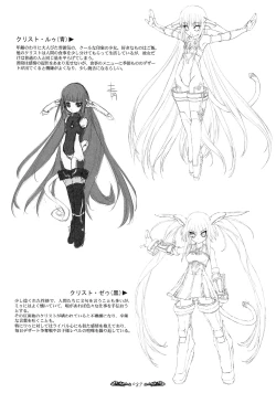 Page 38 of Seinarukana - offical ArtBook