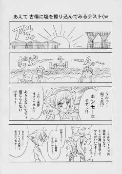 Page 3 of Suiseiseki-nyan 4.