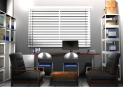 Page 1 of 野外露出排泄