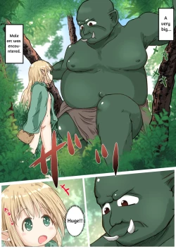 Page 3 of Elf Musumesan ni Gokubuto Ochinchin o Nejikomareru Ohanashi | Elf Girl Gets Screwed By The Big Dick Orc