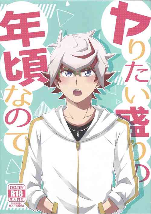 Download Yaritai mori no toshigoronanode