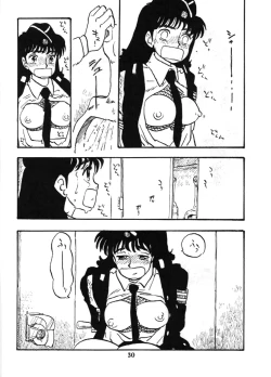 Page 29 of Fujin Keikan