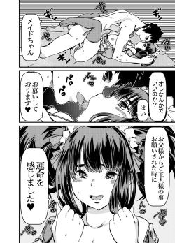 Page 19 of Isan to shite Maid-chan o Souzoku Shitanda ga?