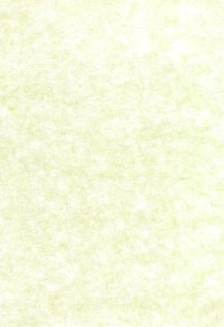 Page 3 of Jun Kukuri