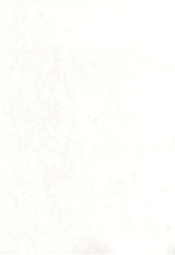 Page 3 of ROSE and LOVE