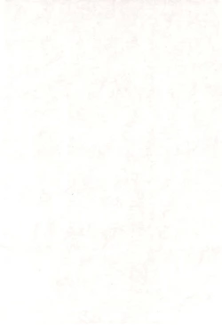 Page 4 of ROSE and LOVE