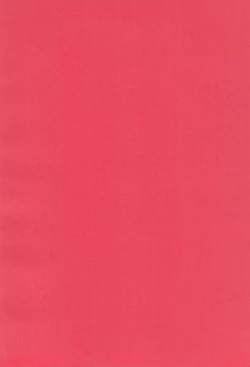 Page 4 of Joshi Shougakusei Nikki 1