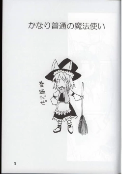 Page 2 of かなり普通の魔法使い