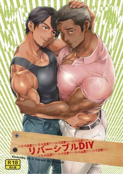 Download Ribāshiburu DIY | Reversible DIY