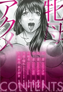 Page 4 of Mesumama Akume