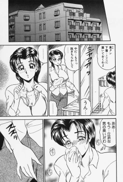 Page 47 of Seibo no Tsuyajiru